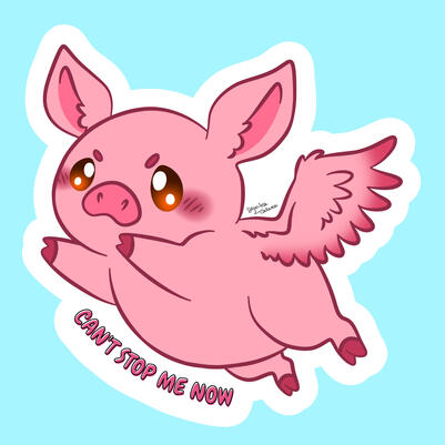 Flying Pig