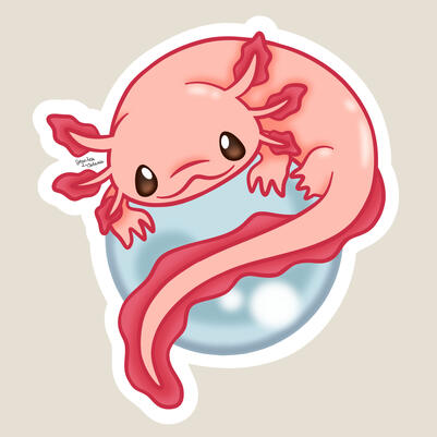 Axolotl